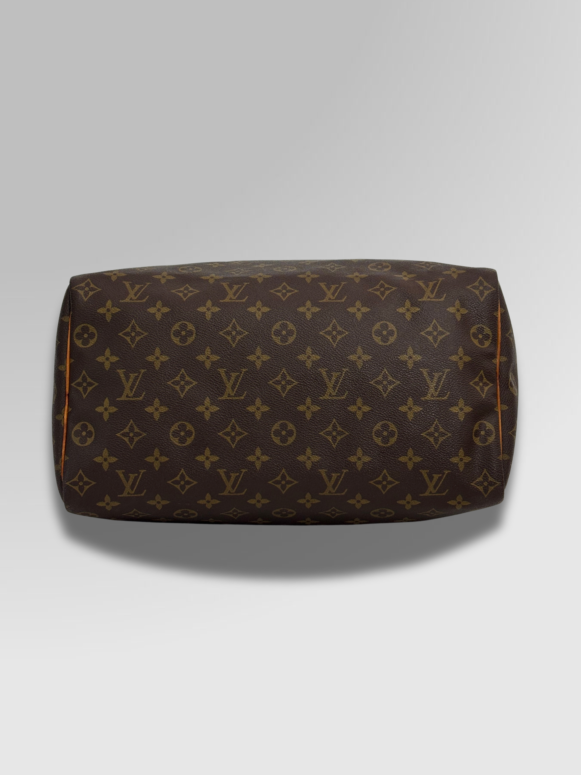 Louis Vuitton Speedy 35
